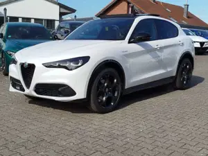 Alfa Romeo Stelvio Veloce Q4 #Pano #TechPaket