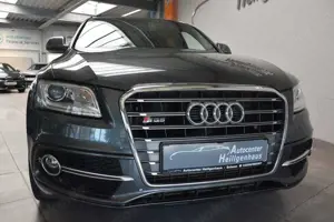 Audi SQ5 3.0 TDI quattro 1.Hd Alcantara Navi Standhzg
