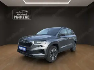 Skoda Karoq 2.0TDI Tour / Panoramadach / beh. Frontscheibe