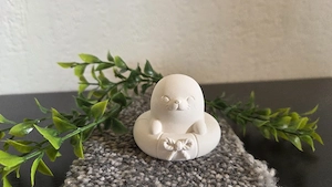 Robbe im Schwimmring