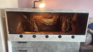 terrarium abzugeben selbst gebaut 