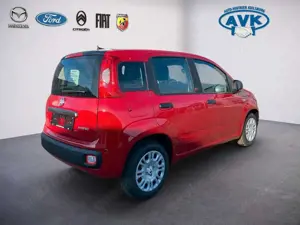 Fiat Panda Pandina Icon MY26, Klimaanlage, Tempomat, PDC Bild 3