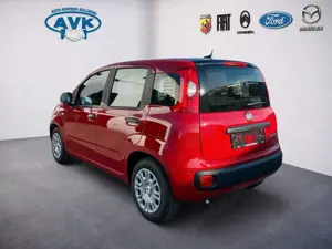 Fiat Panda Pandina Icon MY26, Klimaanlage, Tempomat, PDC Bild 4