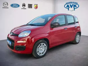 Fiat Panda Pandina Icon MY26, Klimaanlage, Tempomat, PDC Bild 2
