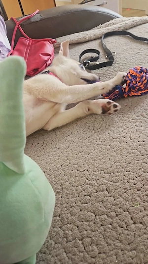 Ist eine sie 4 monate Bild 2