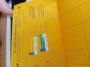 Cooper sucht dringend ein neues Zuhause 