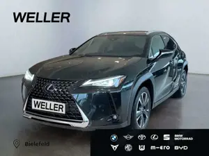Lexus UX 250h Style Edition *Bi-LED*ACC*CAM*SHZ*CarPlay*