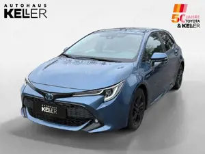 Toyota Corolla Hybrid Team D