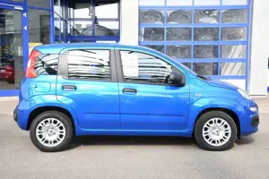 Fiat Panda Bild 4