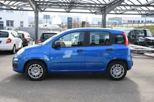 Fiat Panda Bild 3