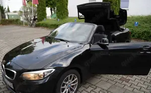 BMW 218 218i Cabrio | 8 Fach bereift | AHK | Leder | Garag