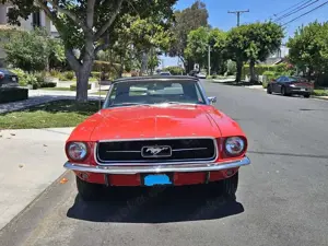 Ford Mustang Convertible, 289ci V8, 45 Jahre in einer Hand! Top Bild 4