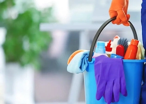 Zuverlässige Haushaltshilfe sucht Stelle