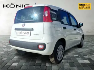 Fiat Panda Bild 3