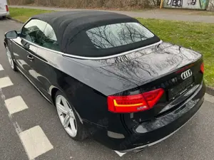 Audi Cabriolet A5 Cabriolet 1.8 TFSI S-Line Sport Plus Vollleder KEYLESS Navi Xenon Bild 4