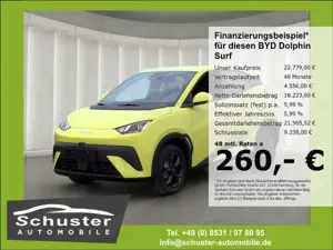 BYD Dolphin Boost*ACC Navi R-Kam Leder el.Sitze