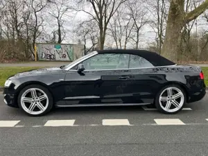 Audi Cabriolet A5 Cabriolet 1.8 TFSI S-Line Sport Plus Vollleder KEYLESS Navi Xenon Bild 3