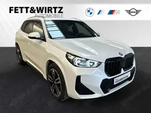 BMW X1 xDrive20d M Sport|AHK|DrivingAssistant+|19"LMR