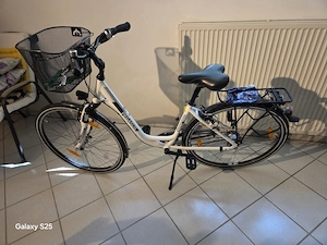 Damenfahrrad Pecasus mit Korb