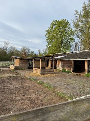 Pferdeboxen und Offenstall Platz frei