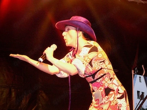 Sängerin Liedschreiberin sucht musikalische n Partner in