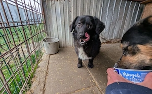 Kleiner Schatz Augustus möchte Neustart