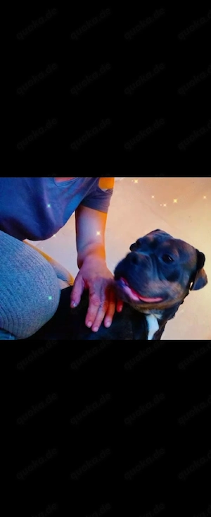 liebevolles Zuhause gesucht 