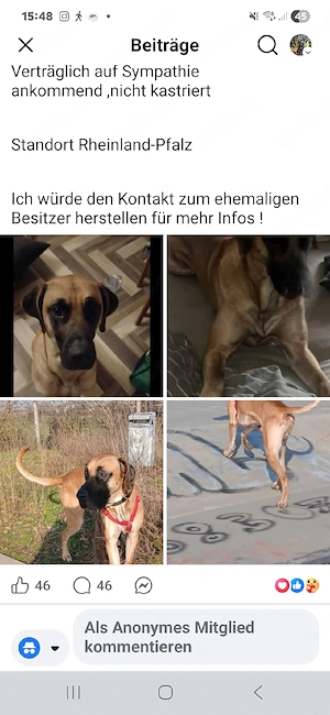 Sehr dringend neues zu Hause gesucht! 
