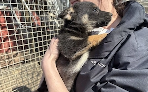 Kleine Lorea möchte ihr Köfferchen packen Bild 2