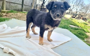 Kleine Lorea möchte ihr Köfferchen packen Bild 6