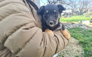 Kleine Lorea möchte ihr Köfferchen packen Bild 9