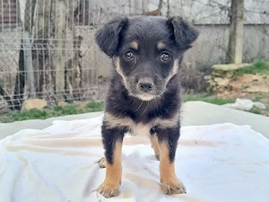 Kleine Lorea möchte ihr Köfferchen packen Bild 5