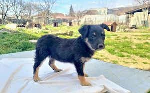 Kleine Lorea möchte ihr Köfferchen packen Bild 7