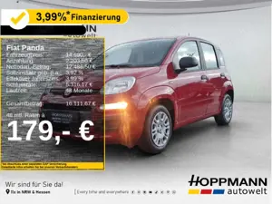 Fiat Panda Icon *Klima*PDC*Mild Hybrid