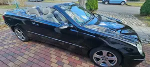 Mercedes-Benz CLK 200 CLK Cabrio 200 Kompressor Avantgarde Bild 2