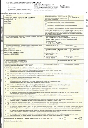 0.1 Shinisaurus crocodilurus  Krokodilschwanzhöckerechse 