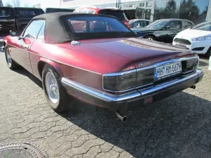 Jaguar XJS 4.0 Cabrio H Kennzeichen Bild 4