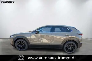 Mazda CX-30 2.5L G 140PS 6MT FWD Homura