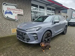 CUPRA Terramar 2.0 TSI DSG 4Drive AHK Pano STHZ Garant