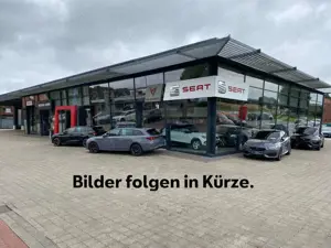 CUPRA Formentor 1.5 TSI DSG - Allwetterreifen - Panorama-Dach