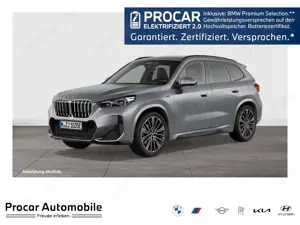 BMW X1 xDrive30e M Sport HUD ACC RFK NAVI LED DAB