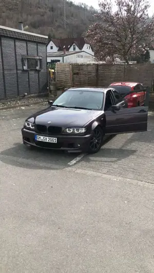 BMW 318 BMW e46 PREIS VB Bild 2