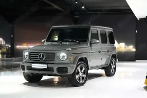 Mercedes-Benz G 450 d*MANUFAKTUR*LED.HIGH.PERF*KAMERA*AHK*