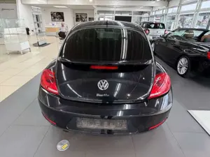 Volkswagen Beetle Bild 5