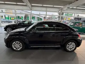 Volkswagen Beetle Bild 3