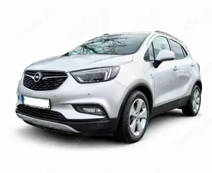 Opel Mokka X Automatik Active Fahrrad Panorama