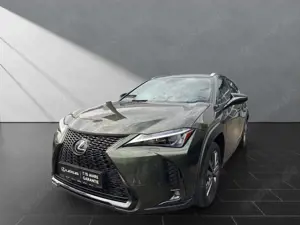 Lexus UX 250h 250h*F-SPORT-D*1.HD*ALLW.REIF** 15J-GARANTIE*