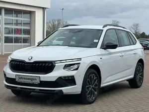 Skoda Kamiq Selection