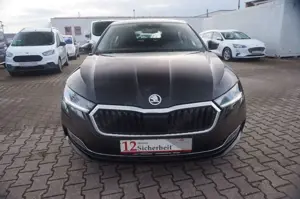 Skoda Octavia Bild 4