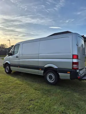 Mercedes-Benz Sprinter SPRINTER 313 CDI im einwandfreien Bestzustand Bild 2